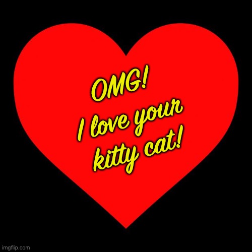 Heart | OMG!
I love your kitty cat! | image tagged in heart | made w/ Imgflip meme maker