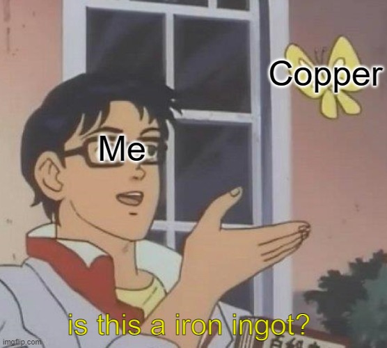 Is This A Thing? | Copper; Me; is this a iron ingot? | image tagged in memes | made w/ Imgflip meme maker