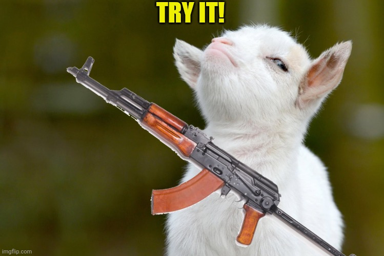 TRY IT! | image tagged in proud baby goat | made w/ Imgflip meme maker