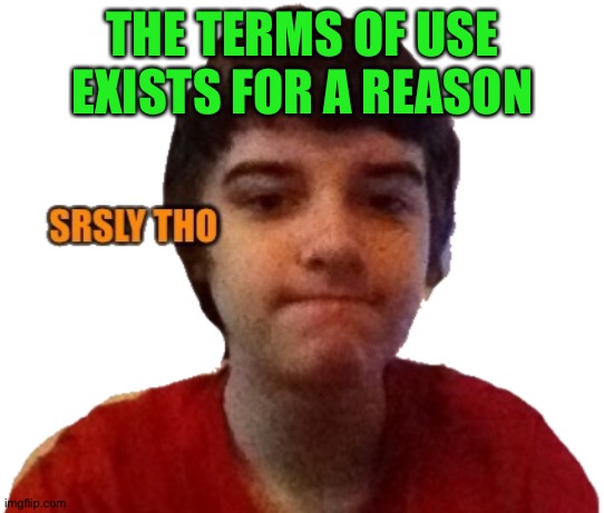 Blaze_official srsly tho | THE TERMS OF USE EXISTS FOR A REASON | image tagged in blaze_official srsly tho | made w/ Imgflip meme maker
