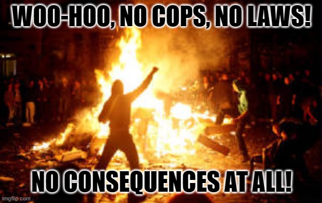 Anarchy Riot | WOO-HOO, NO COPS, NO LAWS! NO CONSEQUENCES AT ALL! | image tagged in anarchy riot | made w/ Imgflip meme maker
