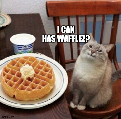 Cat likes their waffle | I CAN HAS WAFFLEZ? | image tagged in cat likes their waffle | made w/ Imgflip meme maker