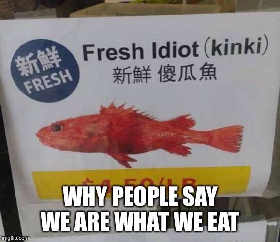 We are what we eat | WHY PEOPLE SAY WE ARE WHAT WE EAT | image tagged in funny memes | made w/ Imgflip meme maker