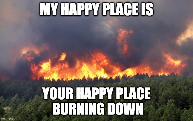 Forest fire | MY HAPPY PLACE IS; YOUR HAPPY PLACE
 BURNING DOWN | image tagged in forest fire,my happy place,meditation | made w/ Imgflip meme maker