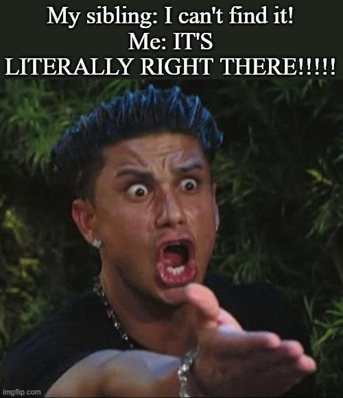 DJ Pauly D Meme | My sibling: I can't find it!
Me: IT'S LITERALLY RIGHT THERE!!!!! | image tagged in memes,dj pauly d | made w/ Imgflip meme maker