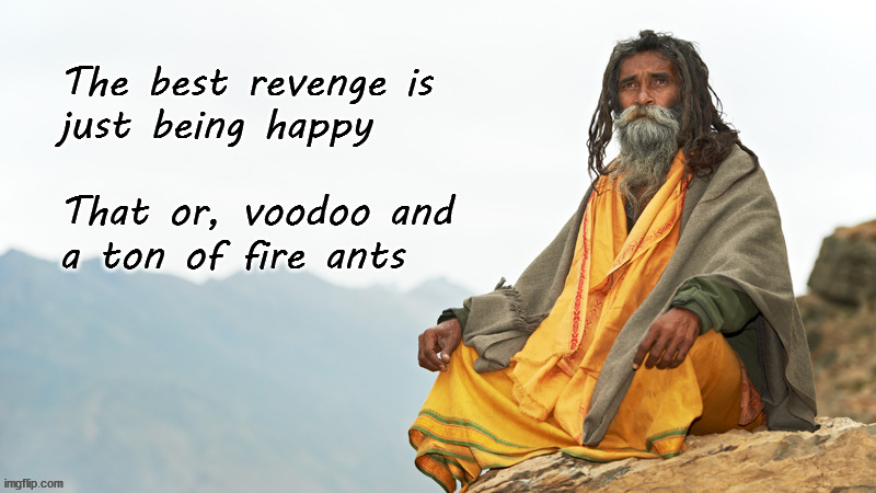 the best revenge is ... | The best revenge is 
just being happy
 
That or, voodoo and
a ton of fire ants | image tagged in revenge | made w/ Imgflip meme maker