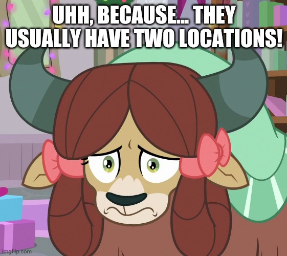 UHH, BECAUSE... THEY USUALLY HAVE TWO LOCATIONS! | made w/ Imgflip meme maker