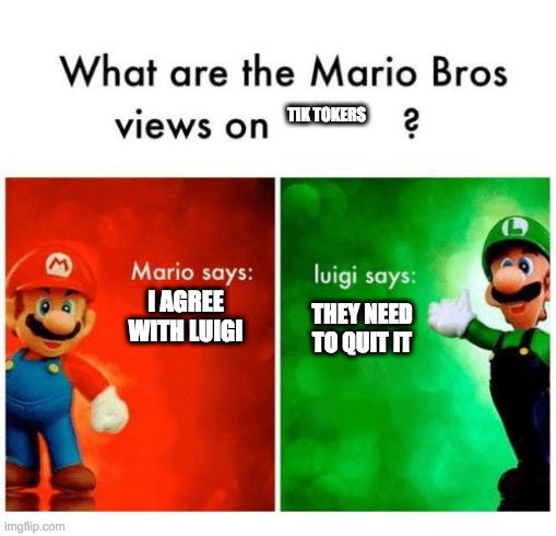 a meme | TIK TOKERS; I AGREE WITH LUIGI; THEY NEED TO QUIT IT | image tagged in mario says luigi says | made w/ Imgflip meme maker