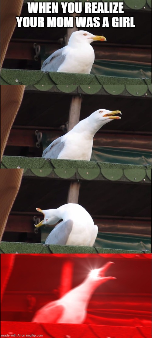 Inhaling Seagull | WHEN YOU REALIZE YOUR MOM WAS A GIRL | image tagged in memes,inhaling seagull | made w/ Imgflip meme maker