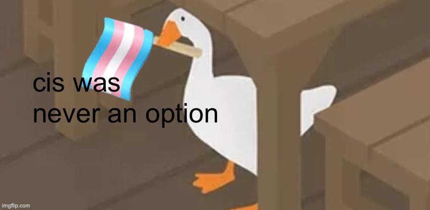 cis was never an option | image tagged in trans,transgender,trans flag | made w/ Imgflip meme maker