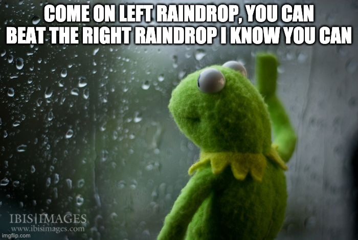 kermit window | COME ON LEFT RAINDROP, YOU CAN BEAT THE RIGHT RAINDROP I KNOW YOU CAN | image tagged in kermit window | made w/ Imgflip meme maker