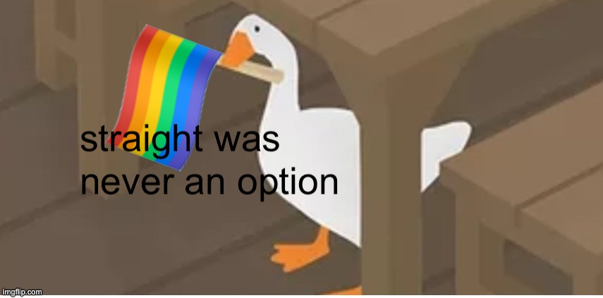 straight was never an option | image tagged in lgbtq,lgbt,gay,untitled goose peace was never an option | made w/ Imgflip meme maker