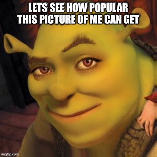 Shrek Social Media | LETS SEE HOW POPULAR THIS PICTURE OF ME CAN GET | image tagged in shrek,social media,instagram,facebook,girls,memes | made w/ Imgflip meme maker