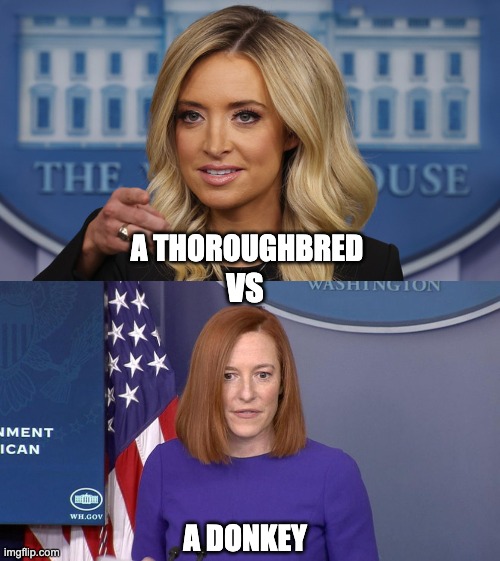 Some horsesense here | A THOROUGHBRED; VS; A DONKEY | image tagged in jen psaki | made w/ Imgflip meme maker