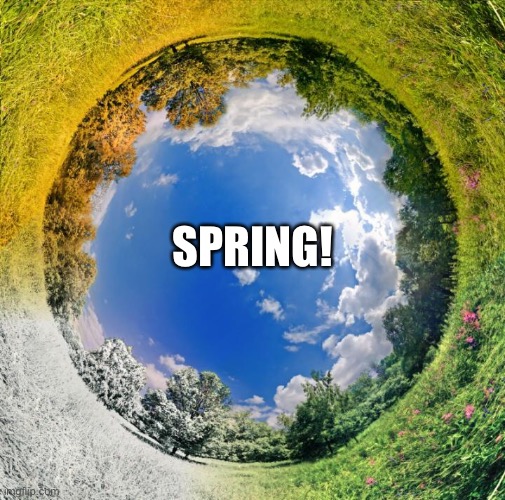 Spring | SPRING! | image tagged in spring | made w/ Imgflip meme maker