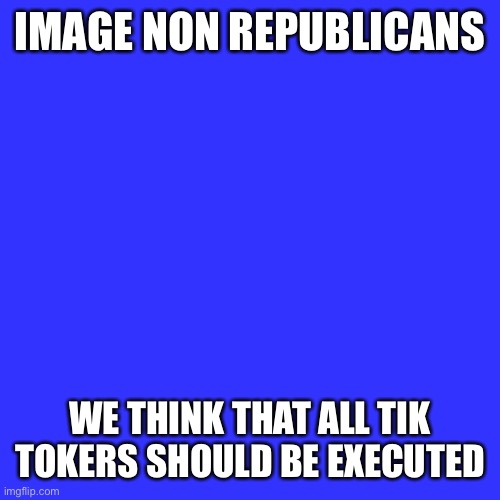 Vote for the image non republican, aka the inr | IMAGE NON REPUBLICANS; WE THINK THAT ALL TIK TOKERS SHOULD BE EXECUTED | image tagged in memes,blank transparent square | made w/ Imgflip meme maker