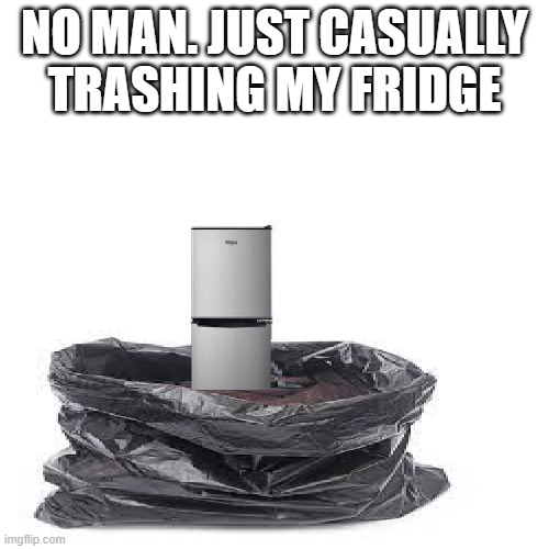 No man, Just | NO MAN. JUST CASUALLY TRASHING MY FRIDGE | image tagged in fridge,trash | made w/ Imgflip meme maker