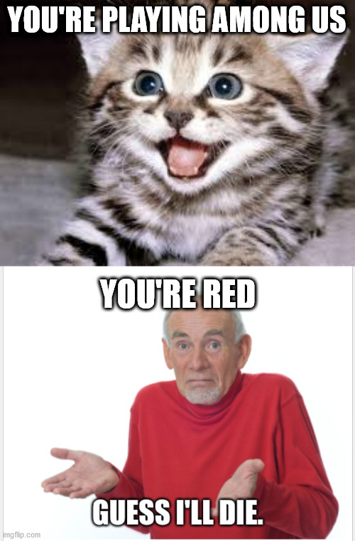 Cat | YOU'RE PLAYING AMONG US; YOU'RE RED | image tagged in among us | made w/ Imgflip meme maker
