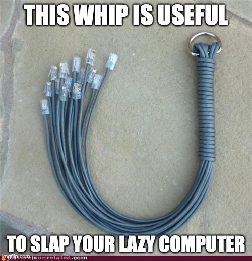 Cat 5 O' Nine Tails | THIS WHIP IS USEFUL; TO SLAP YOUR LAZY COMPUTER | image tagged in computer,memes | made w/ Imgflip meme maker