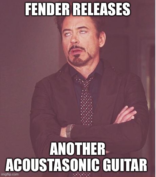 Not another acoustasonic | FENDER RELEASES; ANOTHER ACOUSTASONIC GUITAR | image tagged in memes,face you make robert downey jr | made w/ Imgflip meme maker