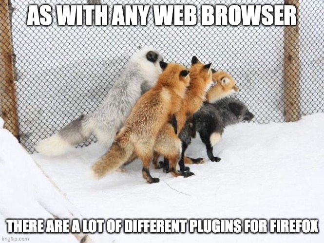 Firefox Plugins IRL | AS WITH ANY WEB BROWSER; THERE ARE A LOT OF DIFFERENT PLUGINS FOR FIREFOX | image tagged in firefox,memes,browser | made w/ Imgflip meme maker