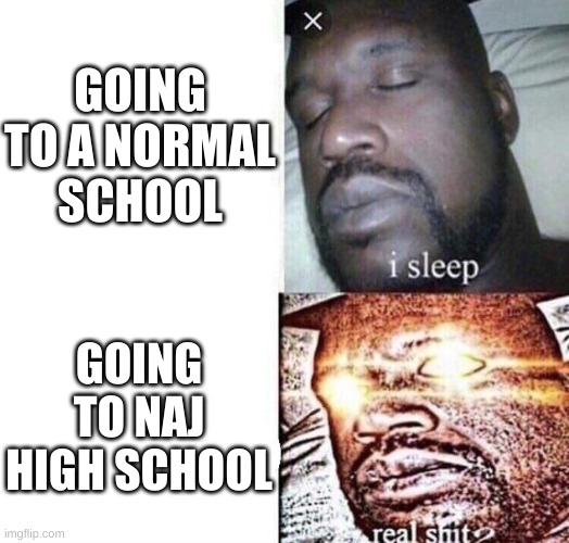 NaJ High School | GOING TO A NORMAL SCHOOL; GOING TO NAJ HIGH SCHOOL | image tagged in i sleep real shit,naj high school,undertale au's | made w/ Imgflip meme maker