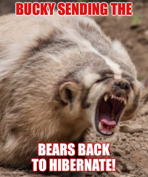 Bucky badger | BUCKY SENDING THE; BEARS BACK TO HIBERNATE! | image tagged in wisconsin | made w/ Imgflip meme maker