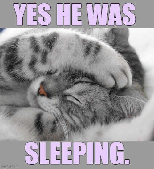 YES HE WAS SLEEPING. | made w/ Imgflip meme maker