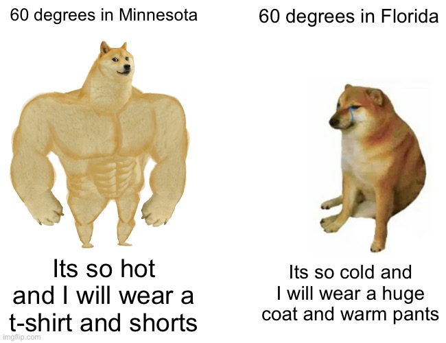 I dont even live in Minnesota |  60 degrees in Minnesota; 60 degrees in Florida; Its so hot and I will wear a t-shirt and shorts; Its so cold and I will wear a huge coat and warm pants | image tagged in memes,buff doge vs cheems,weather,warm weather,cold weather,minnesota | made w/ Imgflip meme maker
