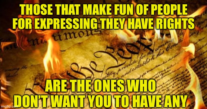 Constitution In Flames | THOSE THAT MAKE FUN OF PEOPLE FOR EXPRESSING THEY HAVE RIGHTS; ARE THE ONES WHO DON’T WANT YOU TO HAVE ANY | image tagged in constitution in flames,woke,joke,socialists,angry sjw,sheeple | made w/ Imgflip meme maker