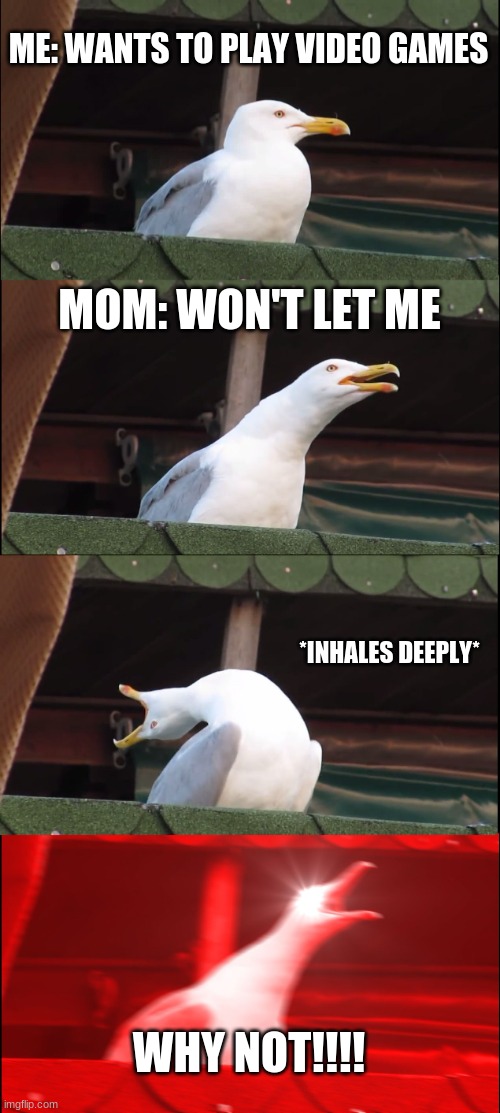 Inhaling Seagull Meme | ME: WANTS TO PLAY VIDEO GAMES; MOM: WON'T LET ME; *INHALES DEEPLY*; WHY NOT!!!! | image tagged in memes,inhaling seagull | made w/ Imgflip meme maker