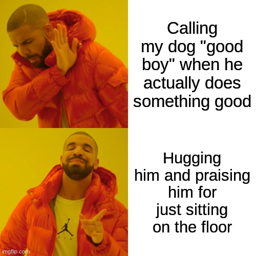 Drake Hotline Bling | Calling my dog "good boy" when he actually does something good; Hugging him and praising him for just sitting on the floor | image tagged in memes,drake hotline bling | made w/ Imgflip meme maker