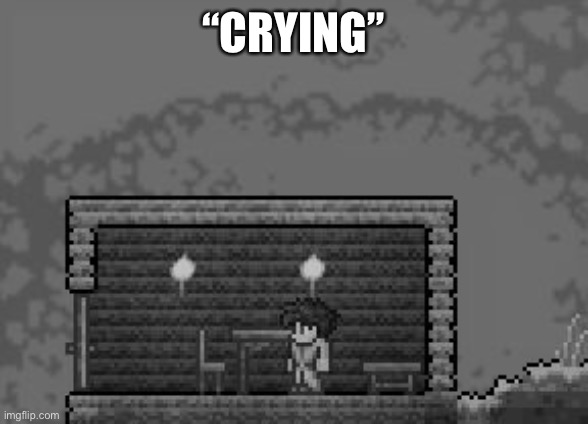 the WORST person to play terraria | “CRYING” | image tagged in the worst person to play terraria | made w/ Imgflip meme maker