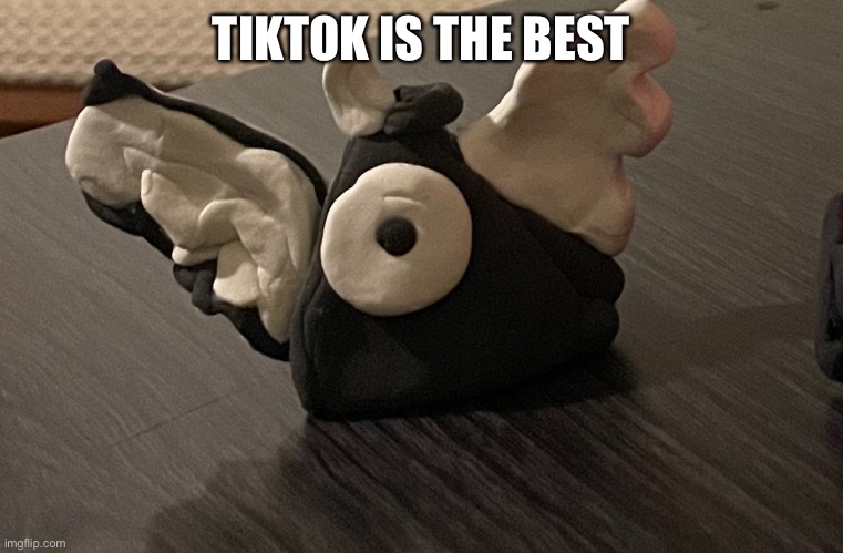 TIKTOK IS THE BEST | made w/ Imgflip meme maker