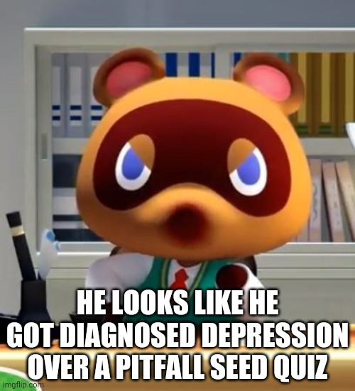 Tom nook | HE LOOKS LIKE HE GOT DIAGNOSED DEPRESSION OVER A PITFALL SEED QUIZ | image tagged in tom nook | made w/ Imgflip meme maker