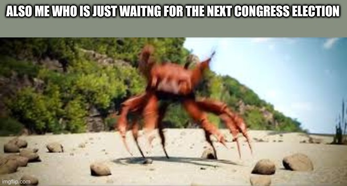 crab rave | ALSO ME WHO IS JUST WAITNG FOR THE NEXT CONGRESS ELECTION | image tagged in crab rave | made w/ Imgflip meme maker