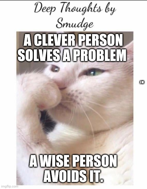 Smudge | A CLEVER PERSON SOLVES A PROBLEM; J M; A WISE PERSON AVOIDS IT. | image tagged in smudge | made w/ Imgflip meme maker