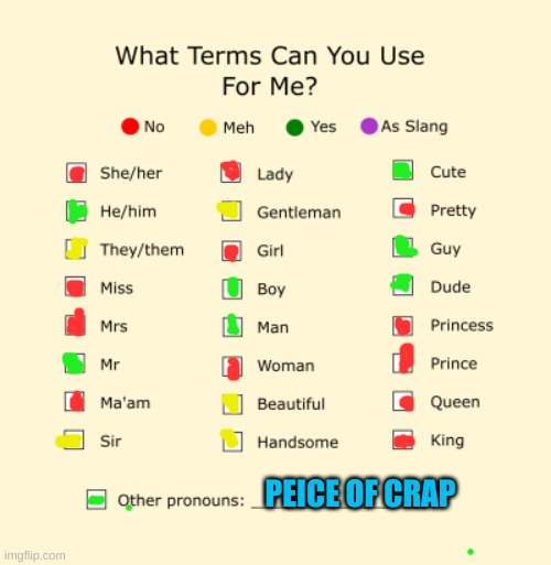 my professional nouns | PEICE OF CRAP | image tagged in pronouns sheet | made w/ Imgflip meme maker