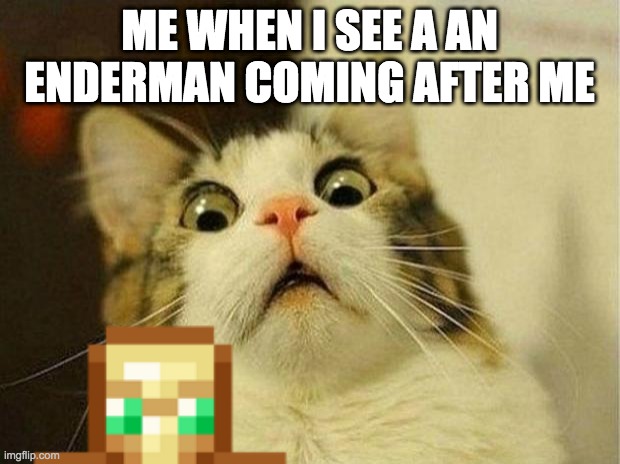 Scared Cat | ME WHEN I SEE A AN ENDERMAN COMING AFTER ME | image tagged in memes,scared cat | made w/ Imgflip meme maker