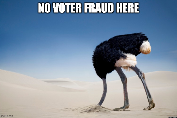 head in the sand | NO VOTER FRAUD HERE | image tagged in ostrich | made w/ Imgflip meme maker