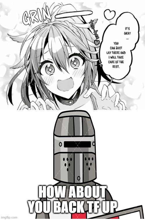 BACK UP HERETIC | HOW ABOUT YOU BACK TF UP | image tagged in crusader,hentai,anime,no | made w/ Imgflip meme maker