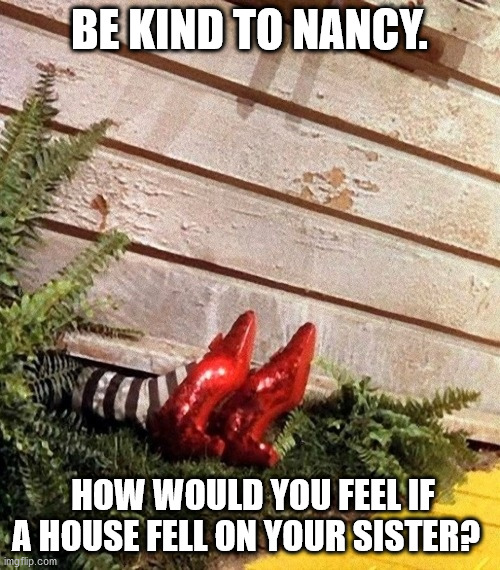 be kind | BE KIND TO NANCY. HOW WOULD YOU FEEL IF A HOUSE FELL ON YOUR SISTER? | image tagged in house,redslippers | made w/ Imgflip meme maker