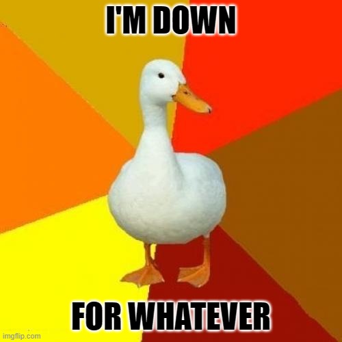 Right on! | I'M DOWN; FOR WHATEVER | image tagged in memes,tech impaired duck | made w/ Imgflip meme maker