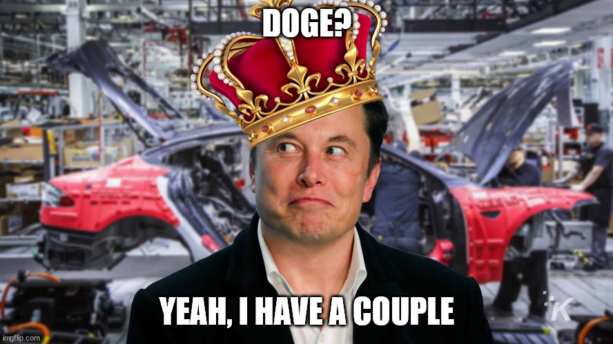 Doge, yes I have some | DOGE? YEAH, I HAVE A COUPLE | image tagged in doge,elon musk | made w/ Imgflip meme maker