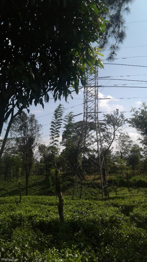 this is an actual picture I've taken from my camera during a trip. | image tagged in beautiful nature | made w/ Imgflip meme maker