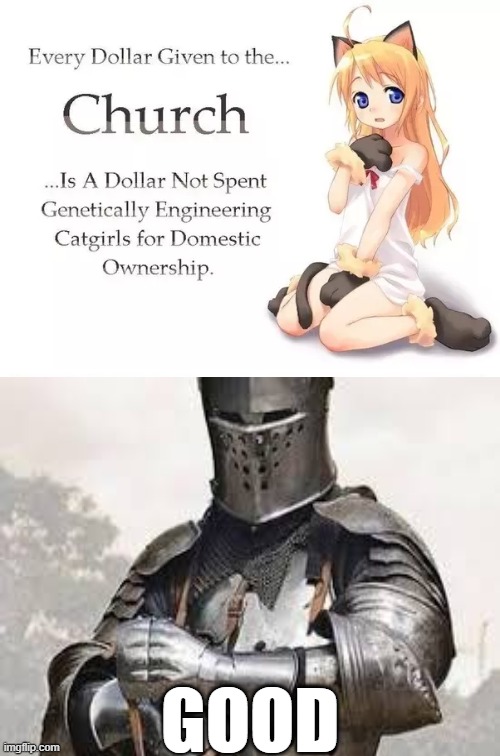 choose holy brothers....not unholy... | GOOD | image tagged in crusader,good,anime | made w/ Imgflip meme maker