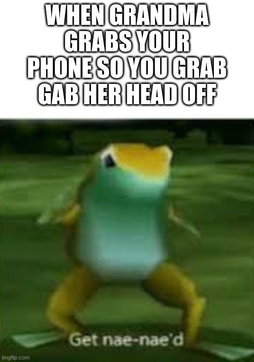 Get nae nae'd | WHEN GRANDMA GRABS YOUR PHONE SO YOU GRAB GAB HER HEAD OFF | image tagged in get nae nae'd | made w/ Imgflip meme maker