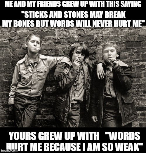 how did you all become so weak | ME AND MY FRIENDS GREW UP WITH THIS SAYING; "STICKS AND STONES MAY BREAK MY BONES BUT WORDS WILL NEVER HURT ME"; YOURS GREW UP WITH   "WORDS HURT ME BECAUSE I AM SO WEAK" | image tagged in stupid liberals,college liberal,leftists,truth,funny memes,political meme | made w/ Imgflip meme maker