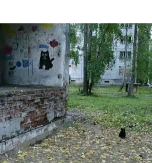 Black Prophecy Cat Blank Meme Template