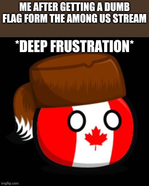 Canada 2.0 | ME AFTER GETTING A DUMB FLAG FORM THE AMONG US STREAM | image tagged in canada 2 0 | made w/ Imgflip meme maker